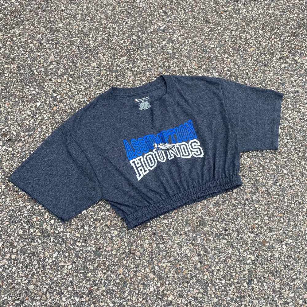 Assumption Crop Top